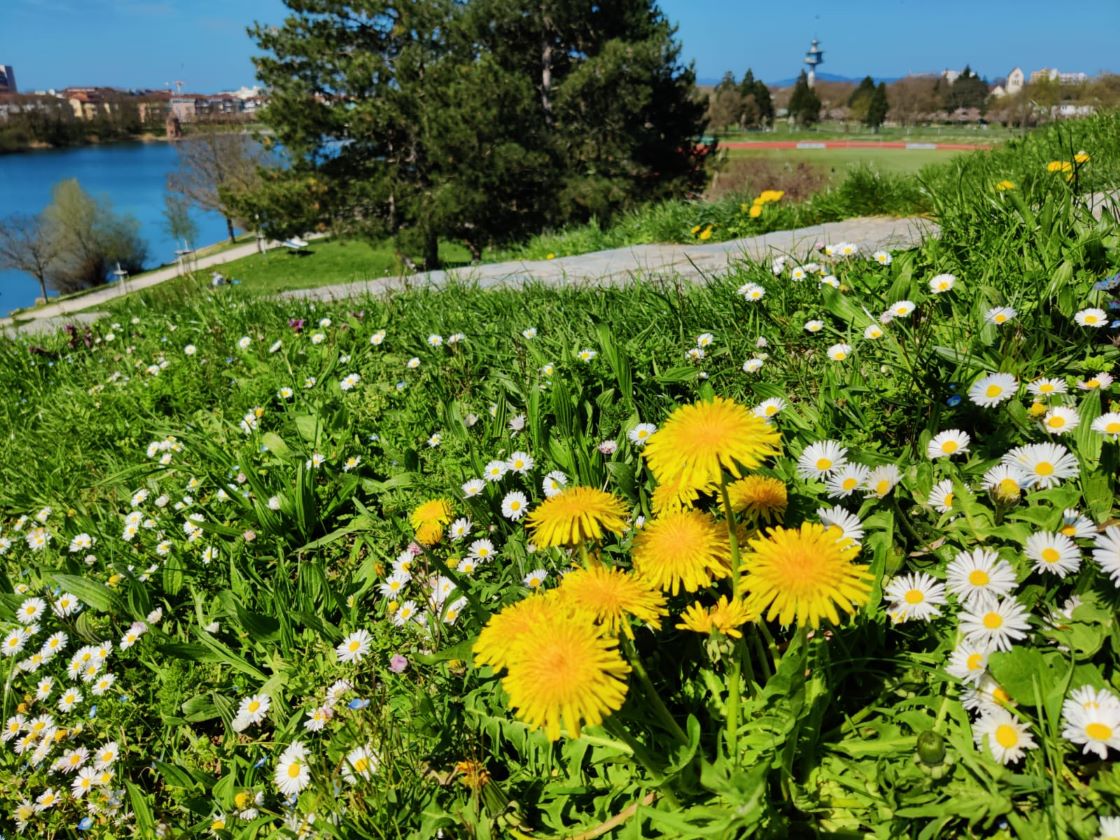 Les horaires de votre bibliothèque pendant les vacances
