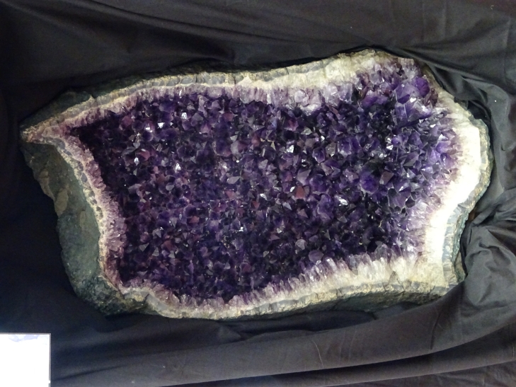 Les rendez-vous de la g&eacute;ode : Ateliers et exposition